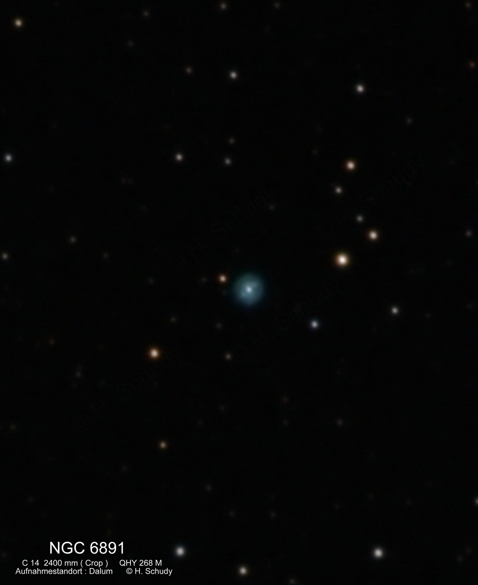 NGC 6891 - Astronomischer Verein der Grafschaft Bentheim e.V.